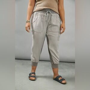 Anthropologie Gray Track Pants with Elastic Waistband